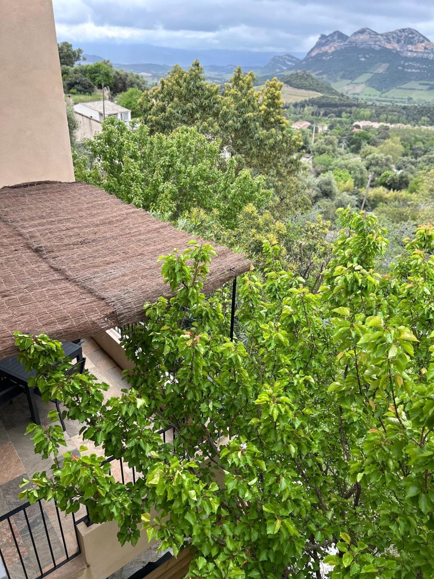 Вилла Casa San Matteu Патримонио Экстерьер фото